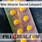 Miel Miracle Secret Léopard new11